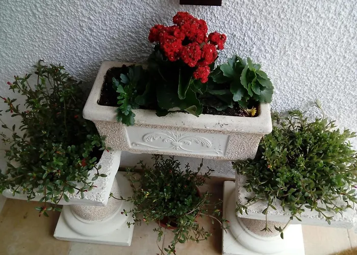 Apartament Bela Vista *