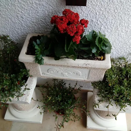 Apartamento Bela Vista *