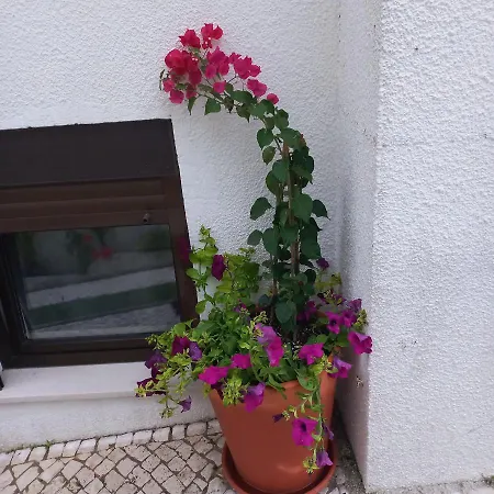 Apartment Bela Vista Nazare