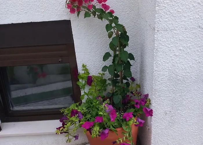 Apartment Bela Vista Nazare